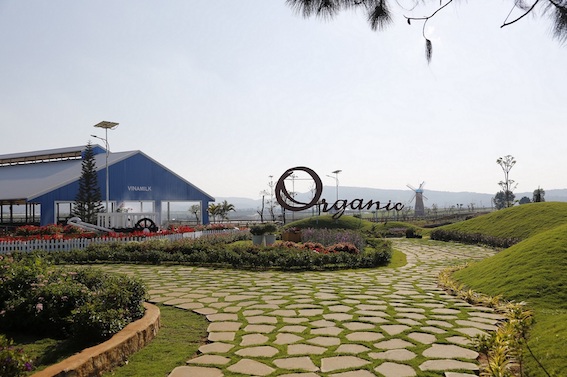 Vinamilk[-]nhận[-]bằng[-]khen[-]của[-]Thủ[-]tướng[-]Ch&iacute;nh[-]Phủ[-]về[-]ph&aacute;t[-]triển[-]tam[-]n&ocirc;ng[-]bền[-]vững